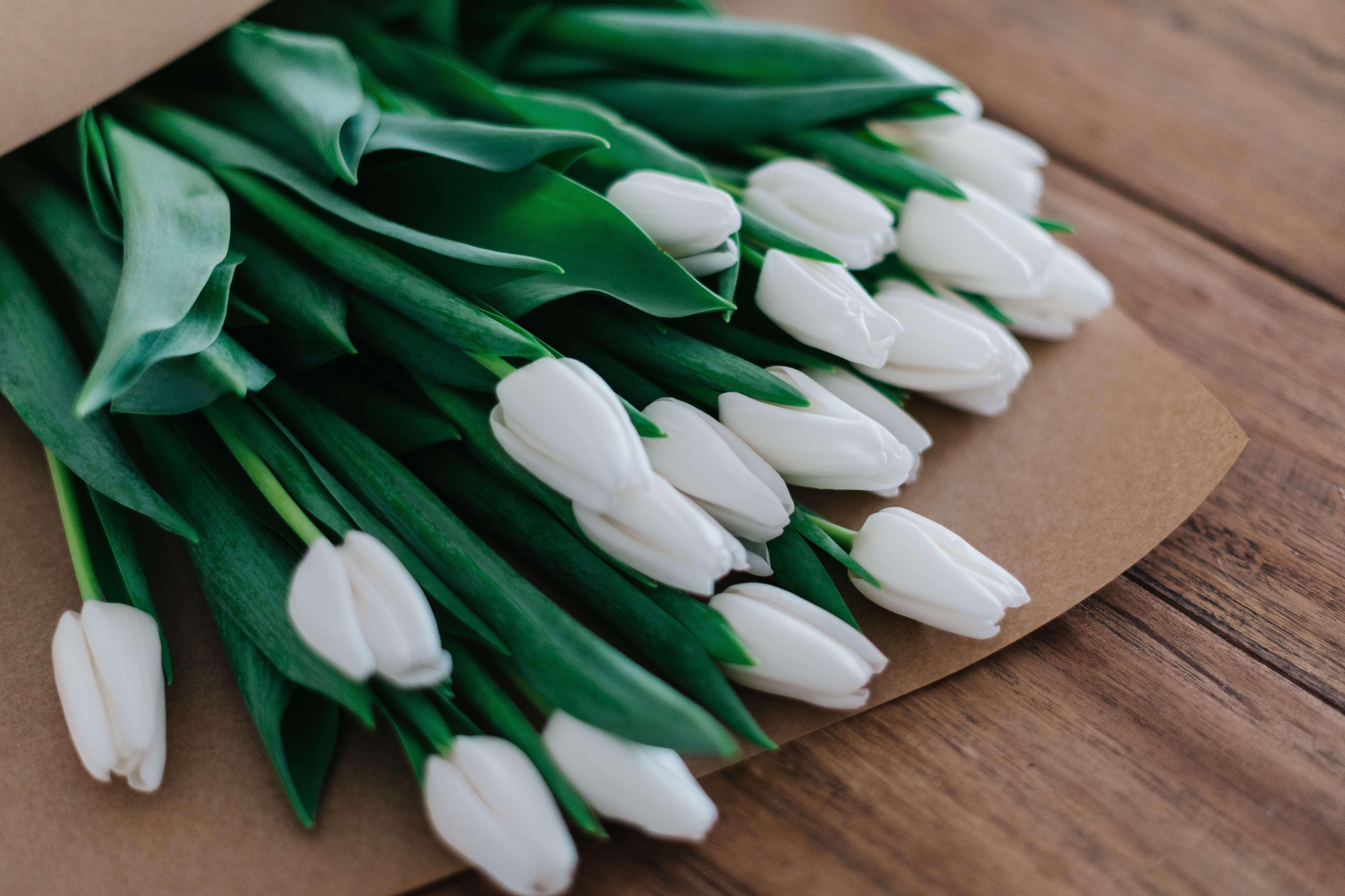 Boeket met witte tulpen